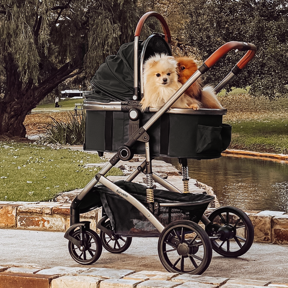 Furvelo Royal